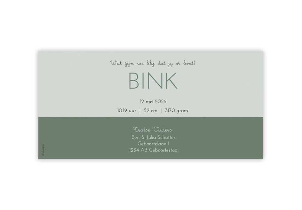Geboortekaartje nijntje minimalistisch groen Bink