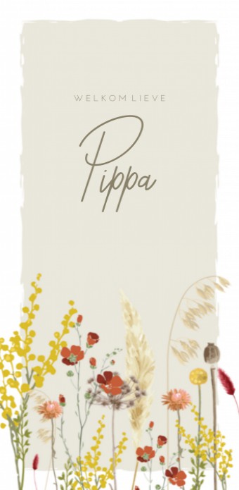 Geboortekaartje meisje droogbloemen Pippa
