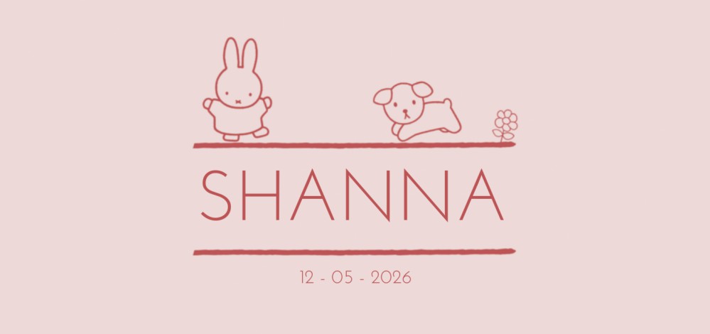 Geboortekaartje nijntje minimalistisch roze rood Shanna