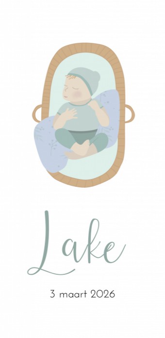 Geboortekaartje jongen baby in reiswieg Lake