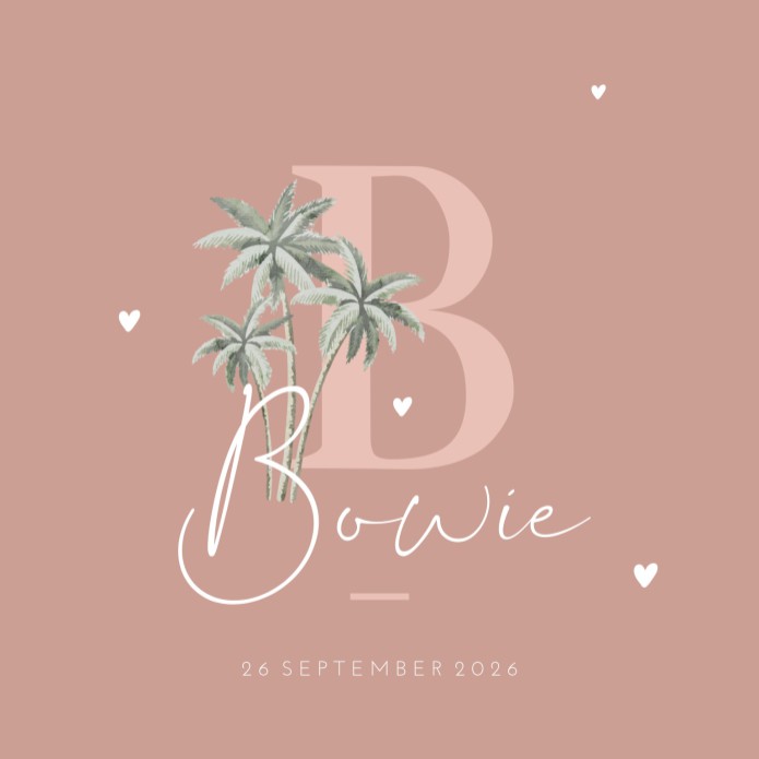 Geboortekaartje initialen unisex roze palm Bowie