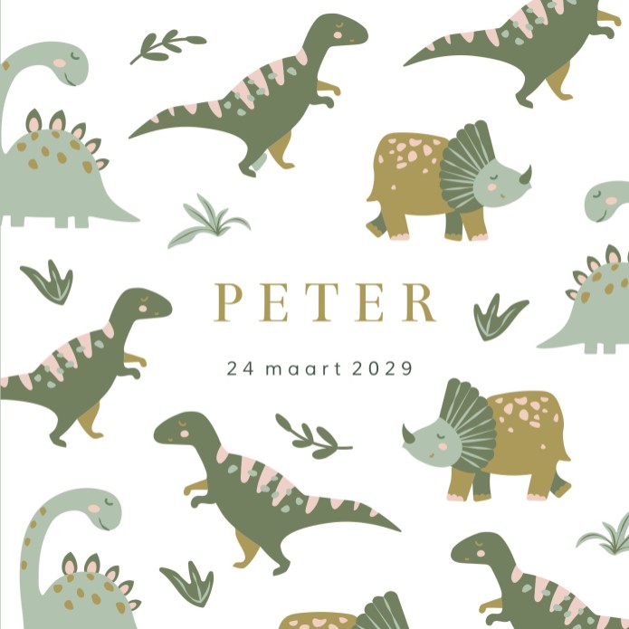 Geboortekaartje jongen dinosaurus Peter