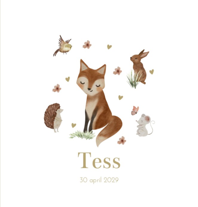 Geboortekaartje meisje bosdieren Tess