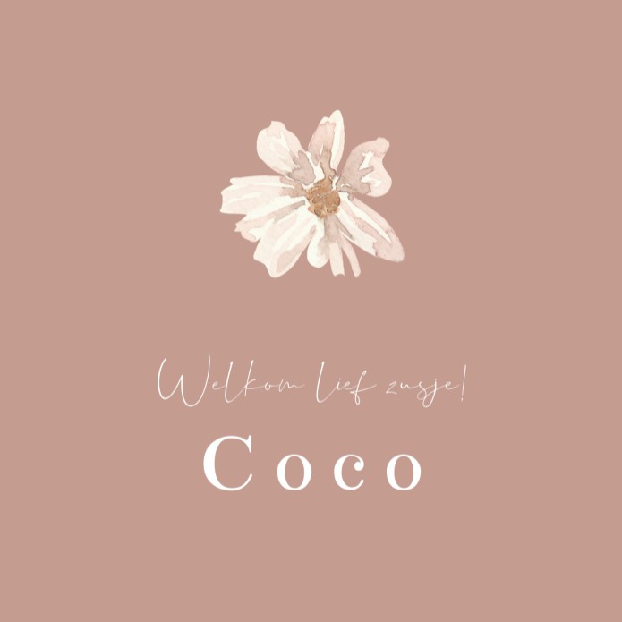 Geboortekaartje meisje droogbloemen oudroze Coco