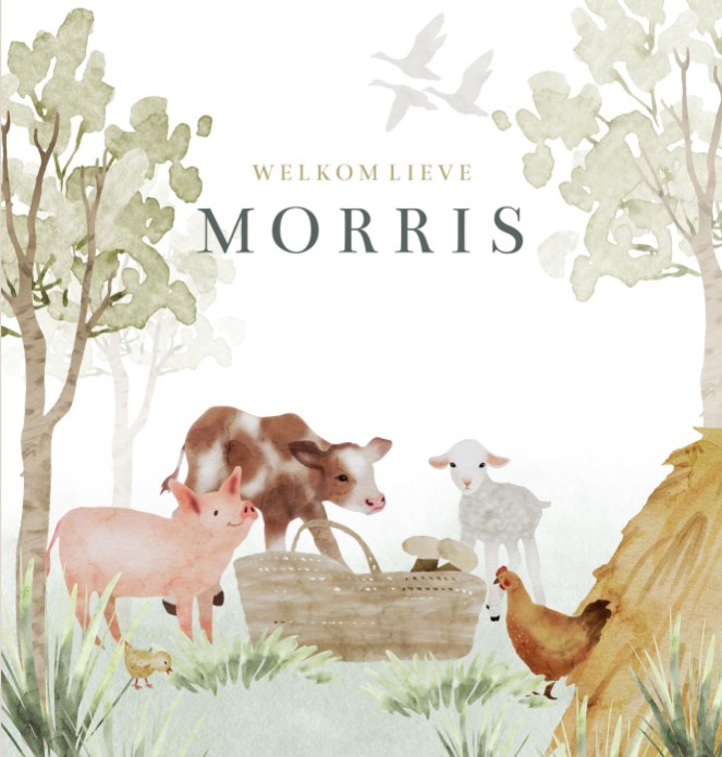 Geboortekaartje jongen boerderij dieren aquarel Morris