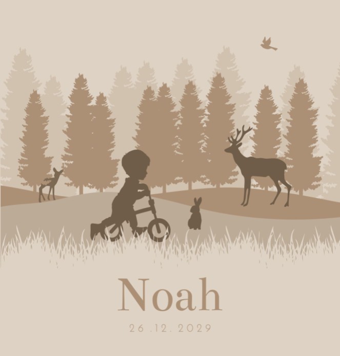Geboortekaartje jongen silhouet loopfiets Noah