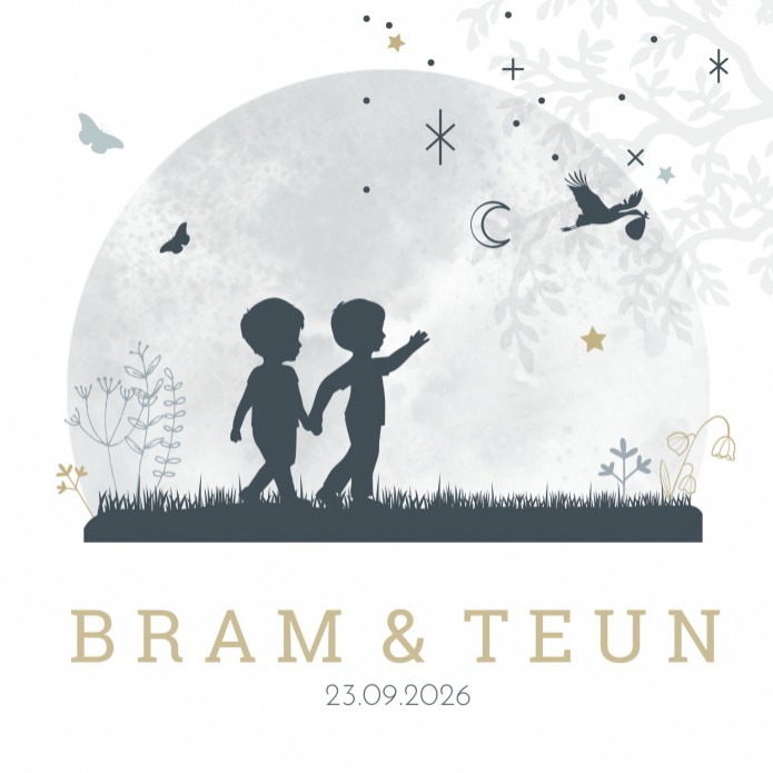 Geboortekaartje silhouette broertjes Bram & Teun