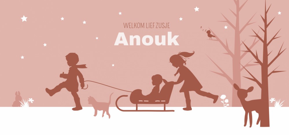 Geboortekaartje silhouette slee zusje Anouk