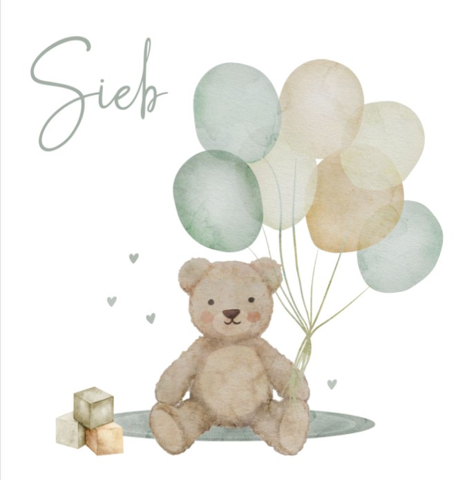 Geboortekaartje jongen teddybeer Sieb
