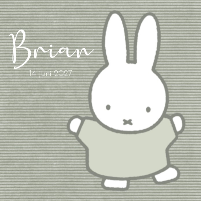 Geboortekaartje neutraal nijntje rib Brian