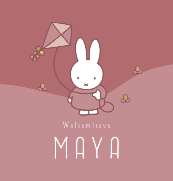 Geboortekaartje meisje nijntje vlieger roze Maya
