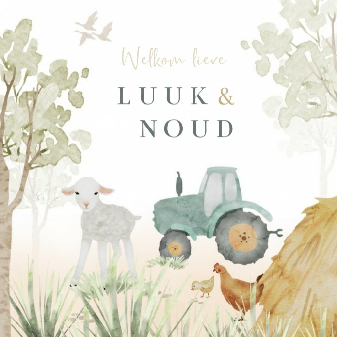 Geboortekaartje tweeling boerderij tractor Luuk en Noud