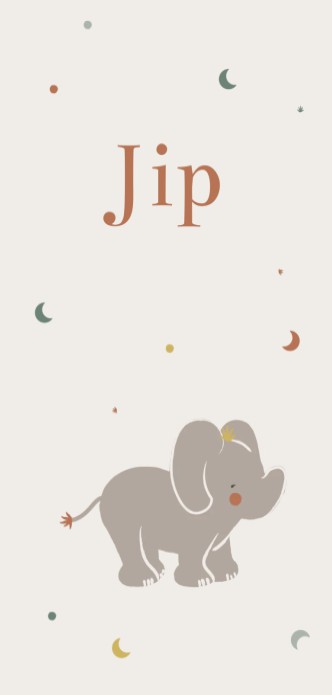 Geboortekaartje Prénatal tweeling olifanten Jip en Lou