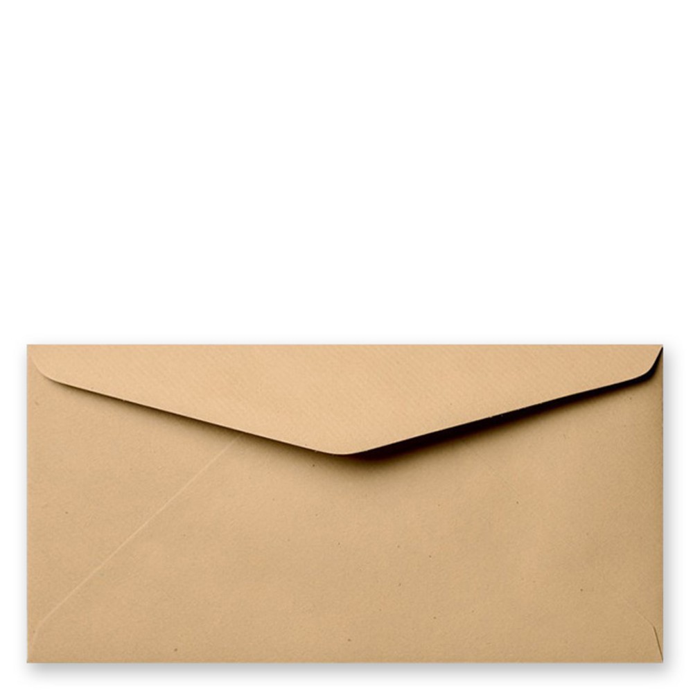 Envelop kraft langwerpig 11x22 cm