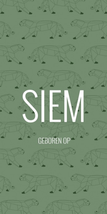 Geboortekaartje Geometrische Panter Siem & Maas