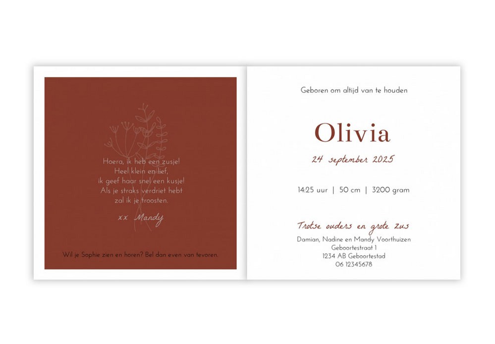 Geboortekaartje takje Olivia - zilverfolie optioneel