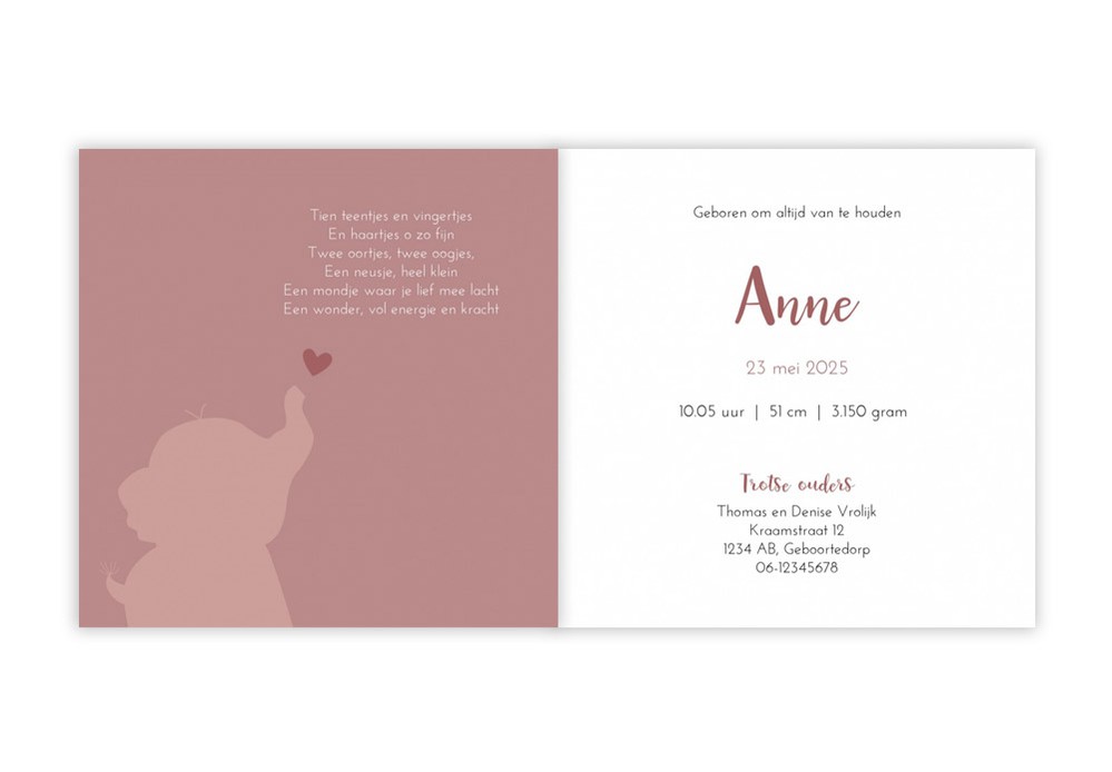 Geboortekaartje meisje zusje olifantjes roze Anne