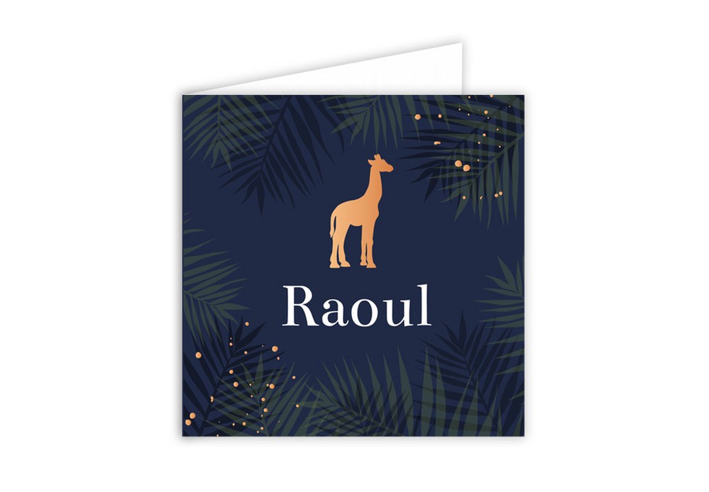 Geboortekaartje giraffe donkerblauw Raoul