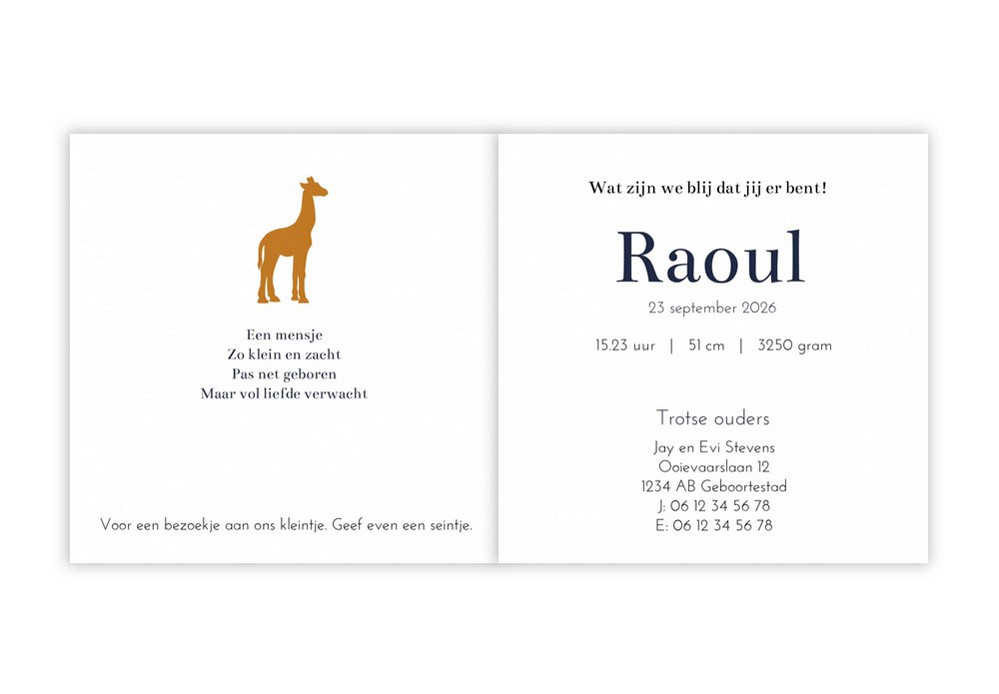 Geboortekaartje giraffe donkerblauw Raoul