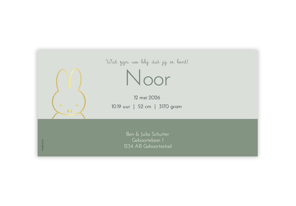 Geboortekaartje nijntje portret groen Noor