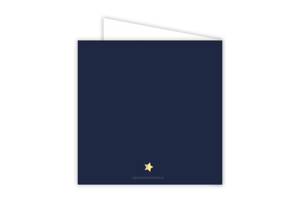 Geboortekaartje blauw met sterren en maan Tommie - goudfolie optioneel