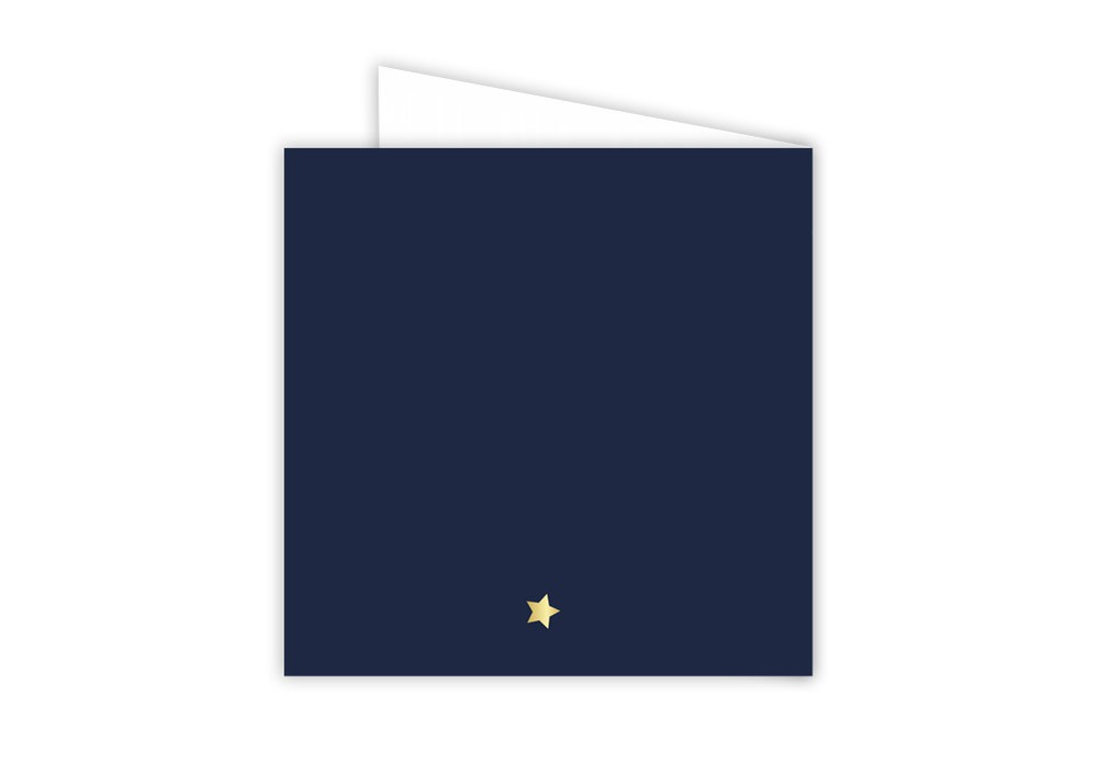 Geboortekaartje blauw met gouden sterren Stijn - goudfolie optioneel