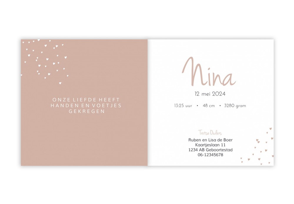 Geboortekaartje meisje roze hartjes Nina