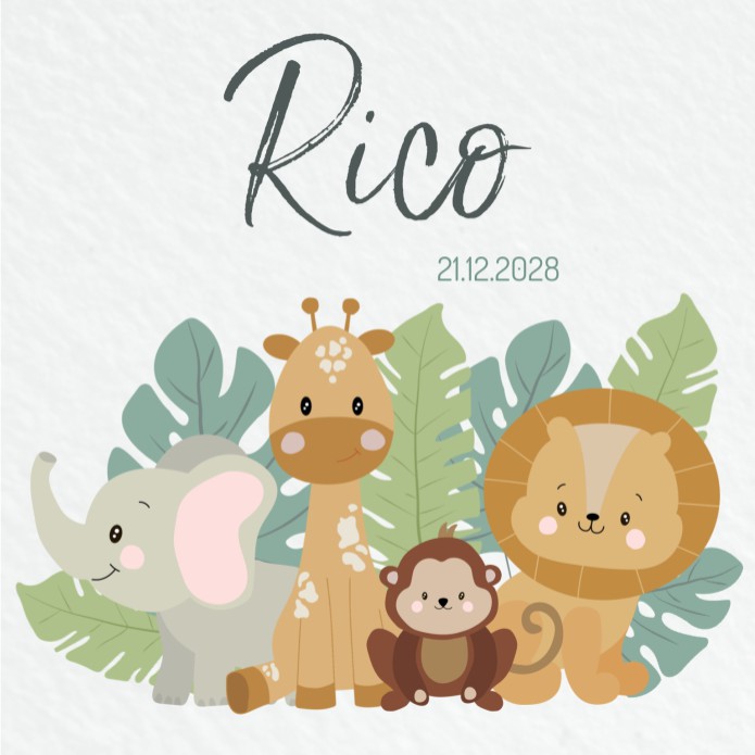 Geboortekaartje jongen dieren safari Rico voor