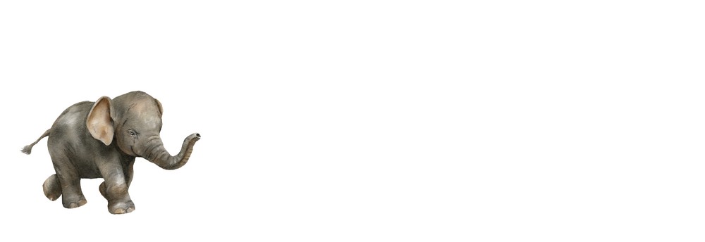 Adressticker jungle olifant