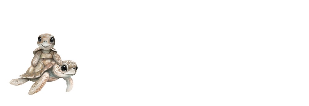 Adressticker schildpad