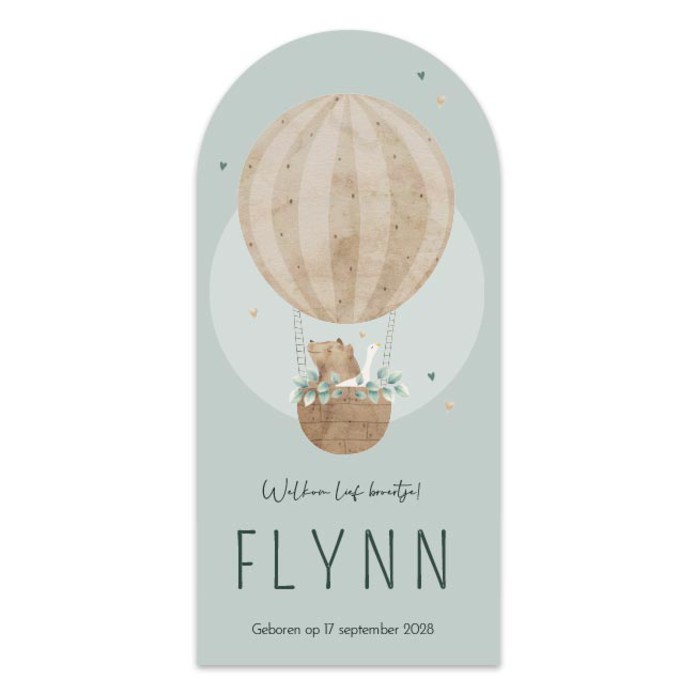 Geboortekaartje jongen luchtballon boog Flynn
