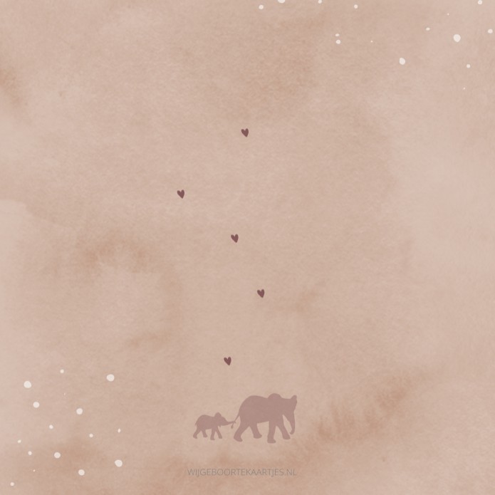 Geboortekaartje meisje licht roze olifanten Carice achter