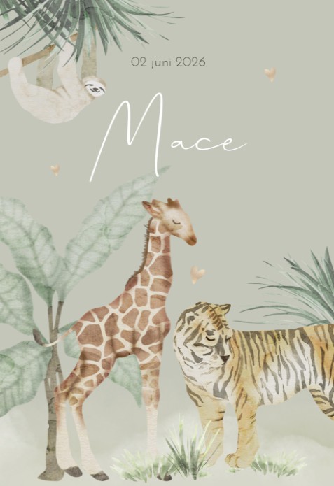 Geboortekaartje jongen jungle giraf groen Mace voor