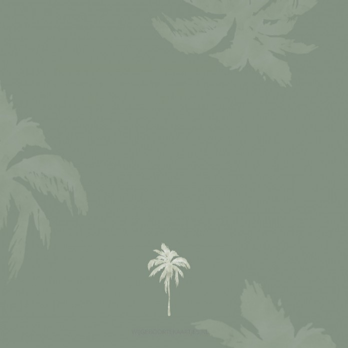 Geboortekaartje jongen groene palmbomen Daks