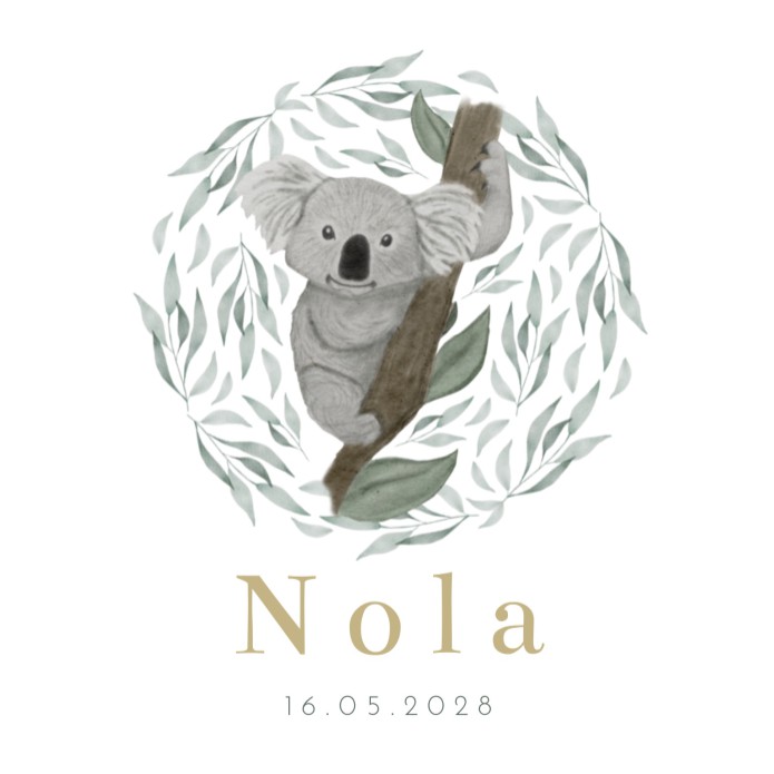 Geboortekaartje meisje koala eucalyptus Nola
