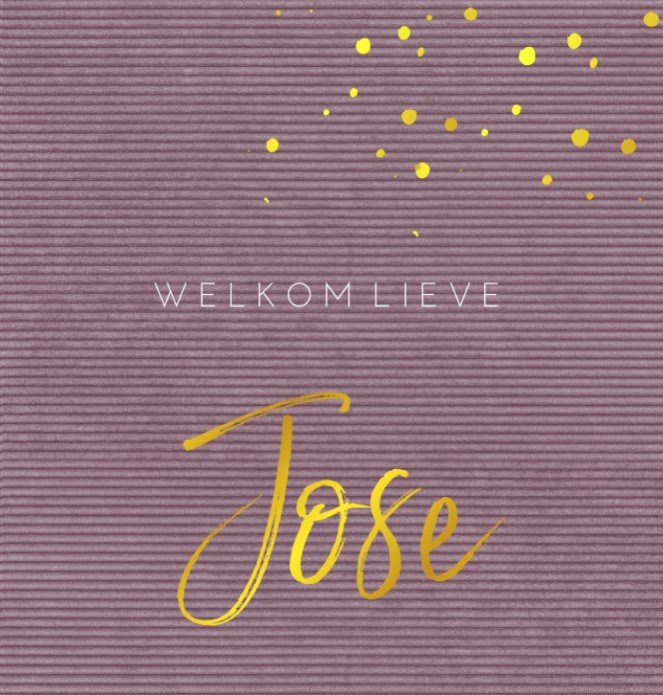 Geboortekaartje meisje paars riblook Jose