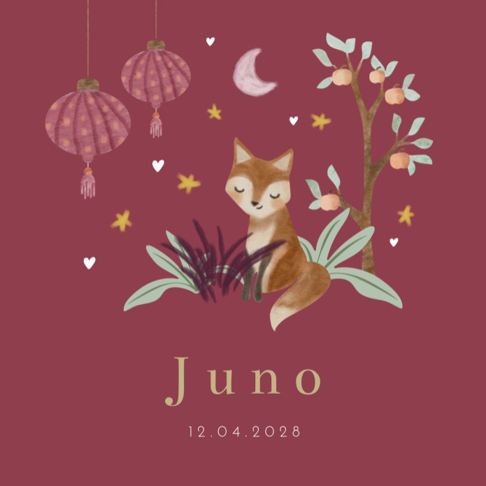 Geboortekaartje meisje lantaarn vos Juno