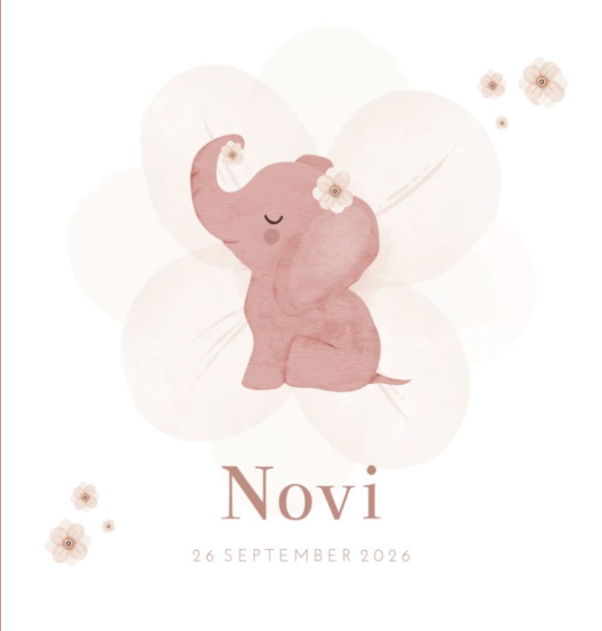 Geboortekaartje meisje olifantje roze Novi