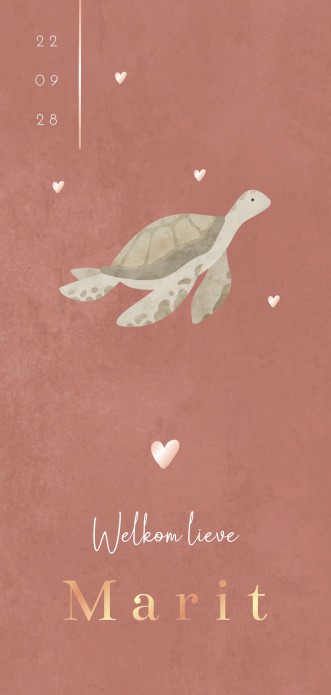 Geboortekaartje meisje schildpad roze Marit