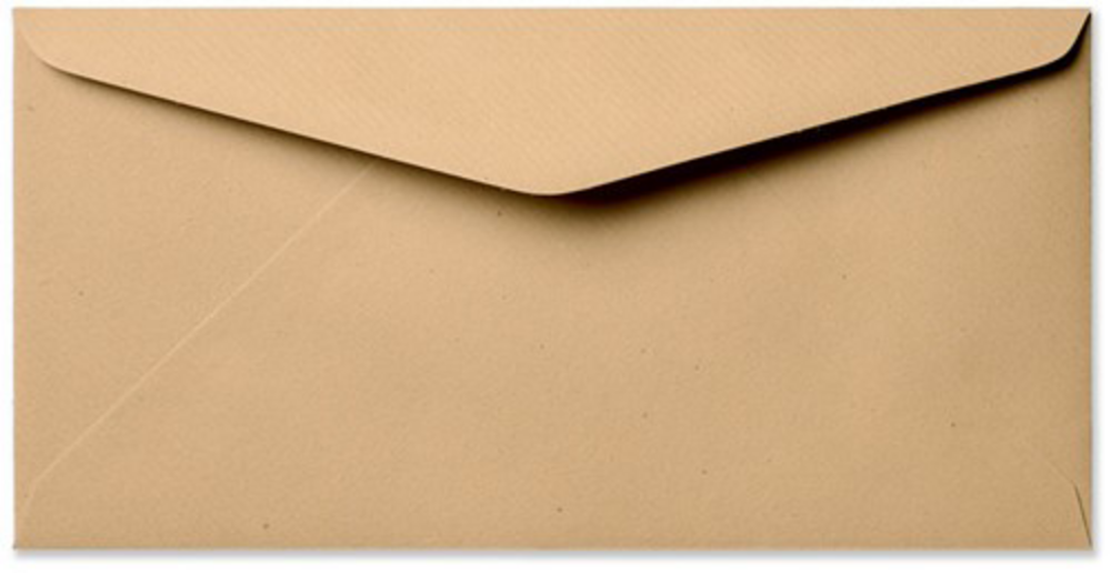 Envelop kraft langwerpig 11x22 cm