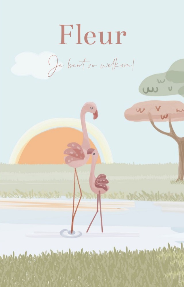Geboortebord Little Dutch flamingo's Fleur