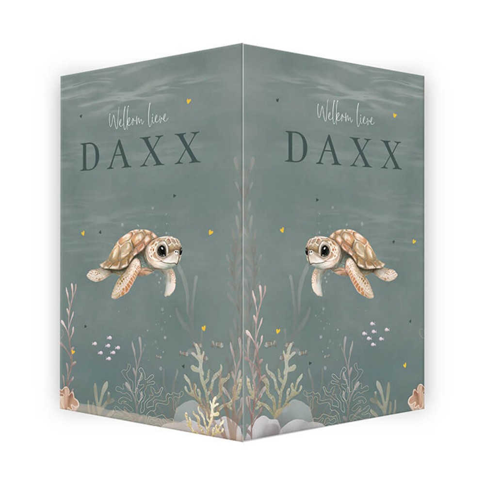 Geboortebord onderwater schildpad Daxx