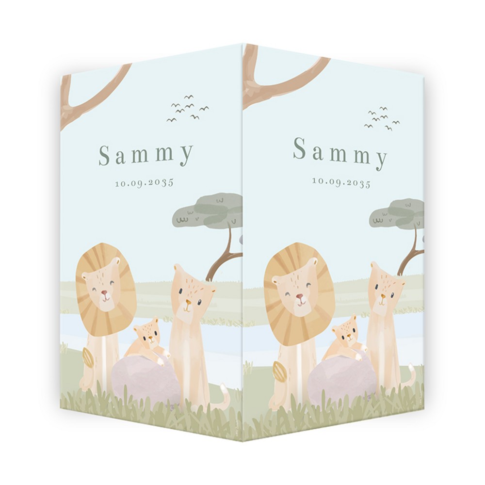 Geboorteaankondiging geboortebord Little Dutch Sammy