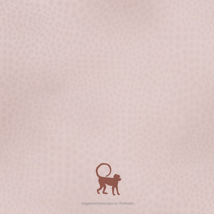 Geboortekaartje Prénatal meisje aap roze Tirza achter