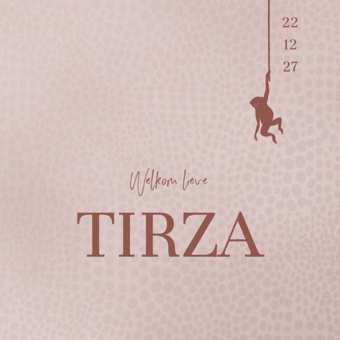 Geboortekaartje Prénatal meisje aap roze Tirza voor