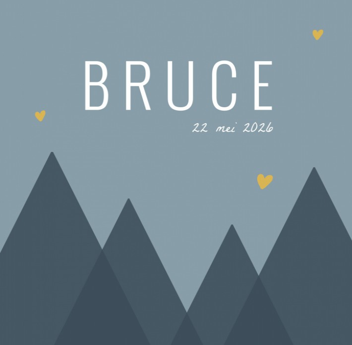Geboortekaartje bergen blauw Bruce