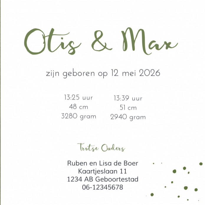 Geboortekaartje betonlook groen Otis & Max