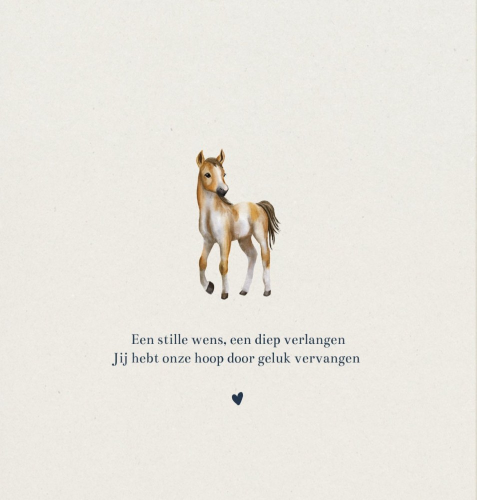 kaart binnenzijde links