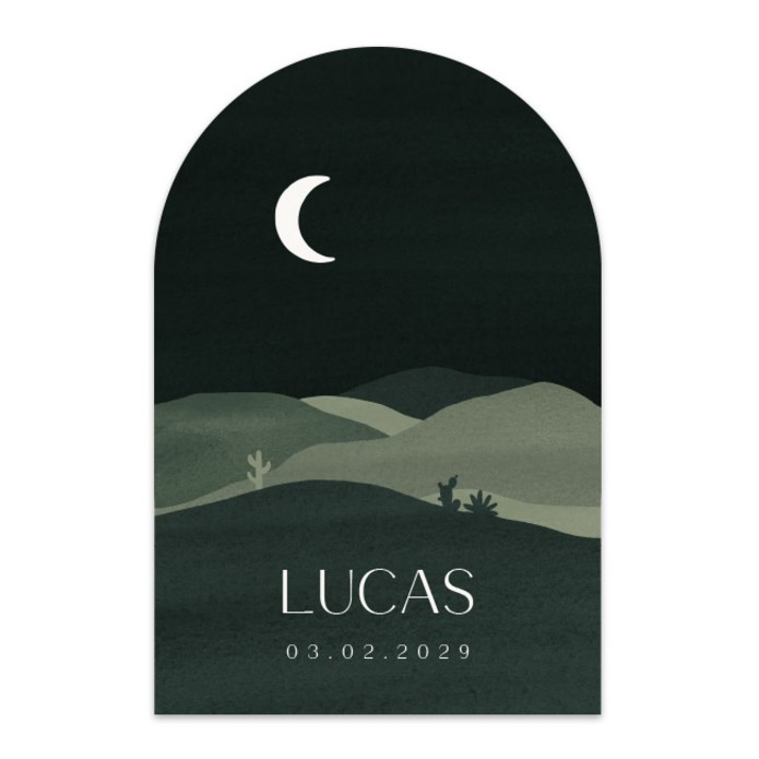 Geboortekaartje jongen minimalistisch landschap Lucas