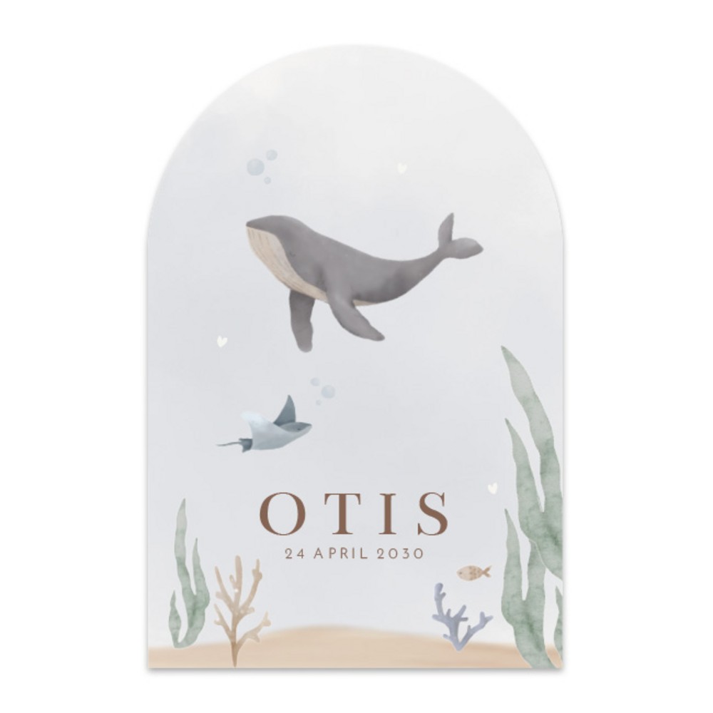 Geboortekaartje jongen oceaandieren Otis